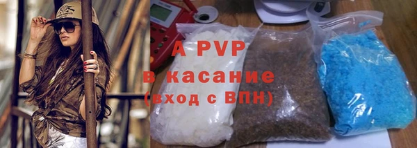 ECSTASY Богданович