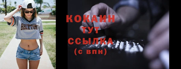 бошки Белокуриха
