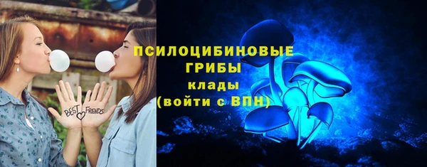 а пвп мука Снежногорск
