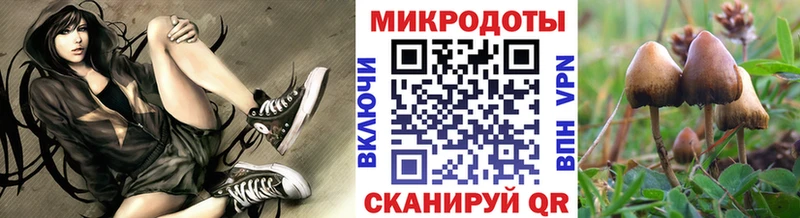 Галлюциногенные грибы мухоморы Кирсанов